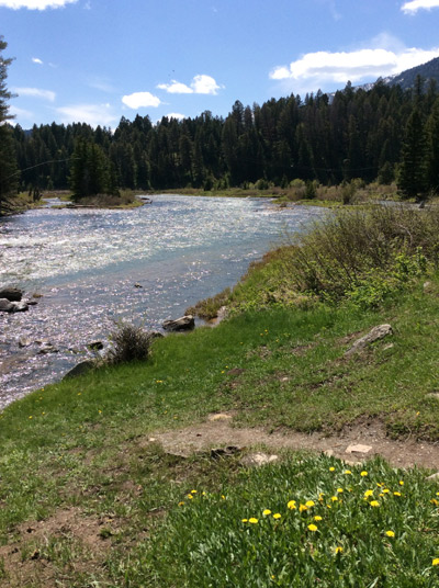 Madison River